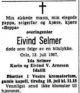 Dødsannonse Eivind Maximilian Selmer