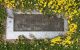 Gravestone for Morris Bernhard Selmer