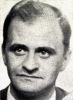 Harald Skaufel